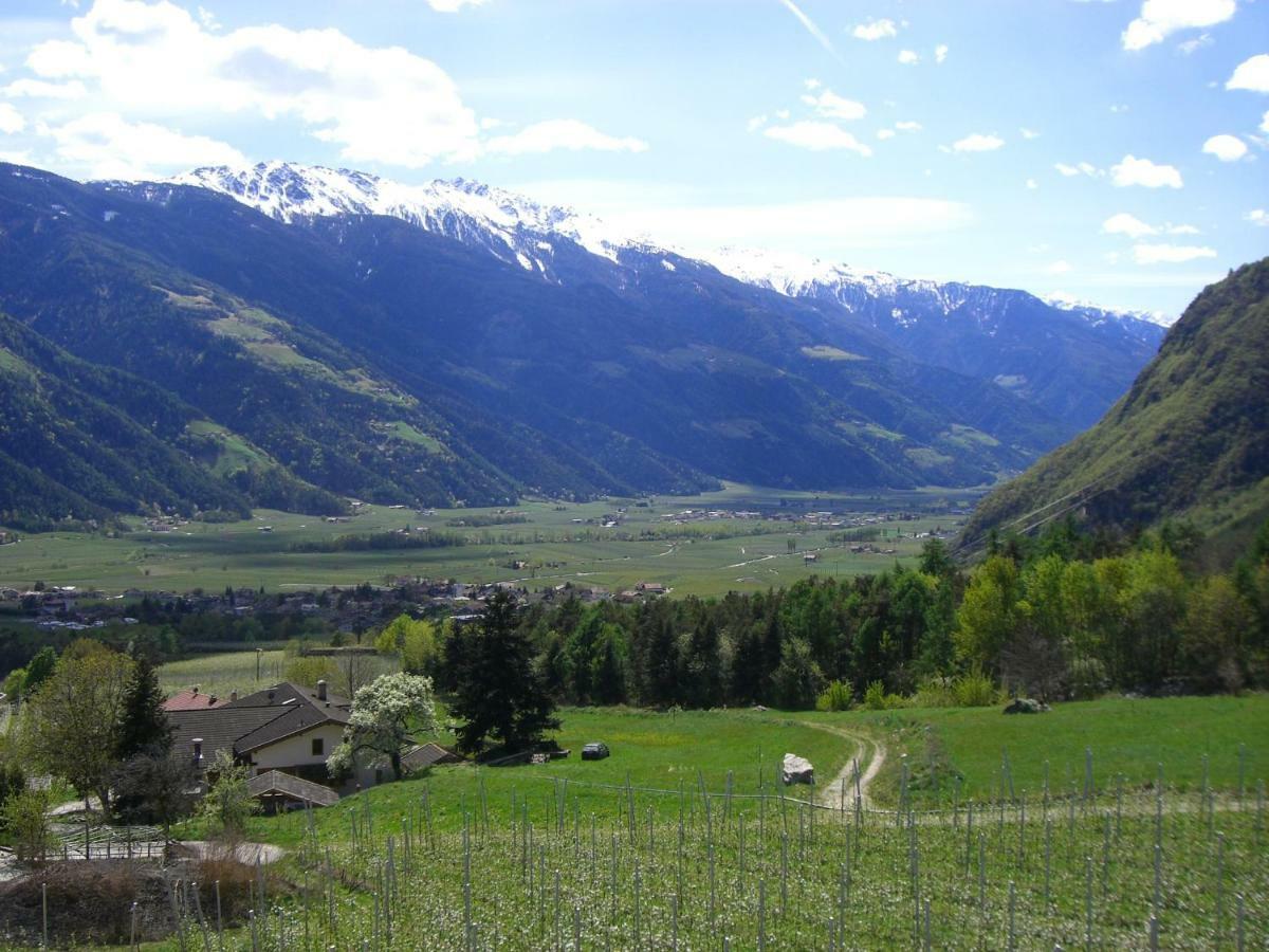 Appartement Mareinhof - Urlaub Auf Dem Apfelbauernhof à Parcines Extérieur photo