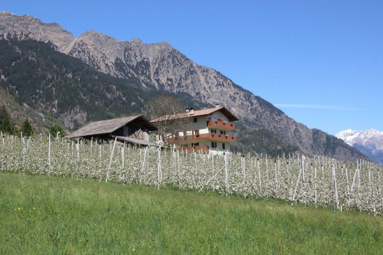 Appartement Mareinhof - Urlaub Auf Dem Apfelbauernhof à Parcines Extérieur photo